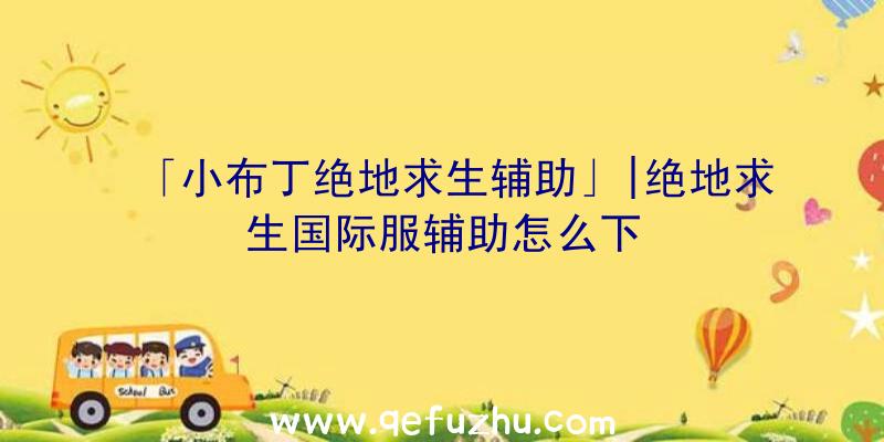 「小布丁绝地求生辅助」|绝地求生国际服辅助怎么下